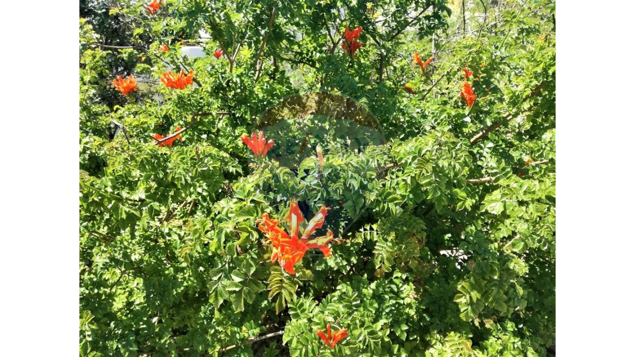 Apartamento T1 para Venda em Albufeira e Olhos de Água Foto 40