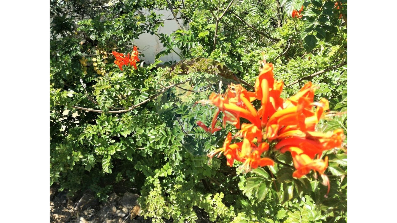 Apartamento T1 para Venda em Albufeira e Olhos de Água Foto 42