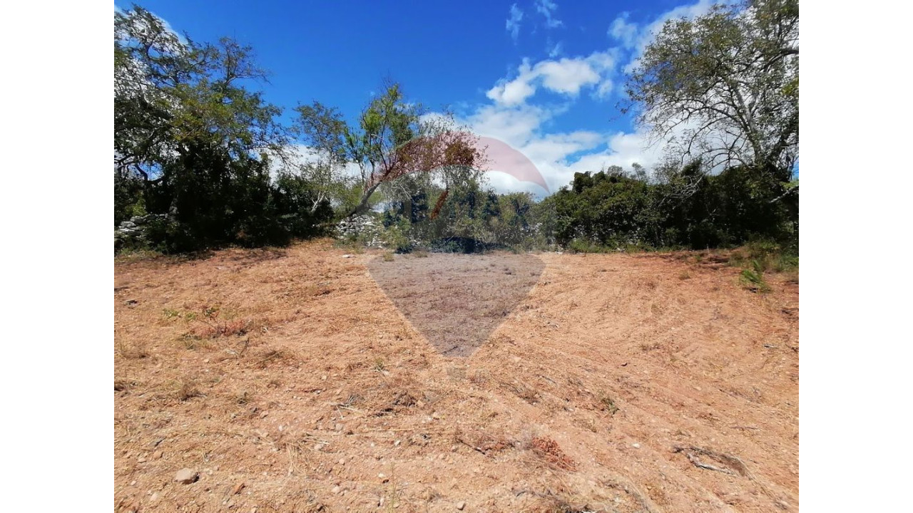 Terreno P/ Prédio para Venda em Paderne Foto 4