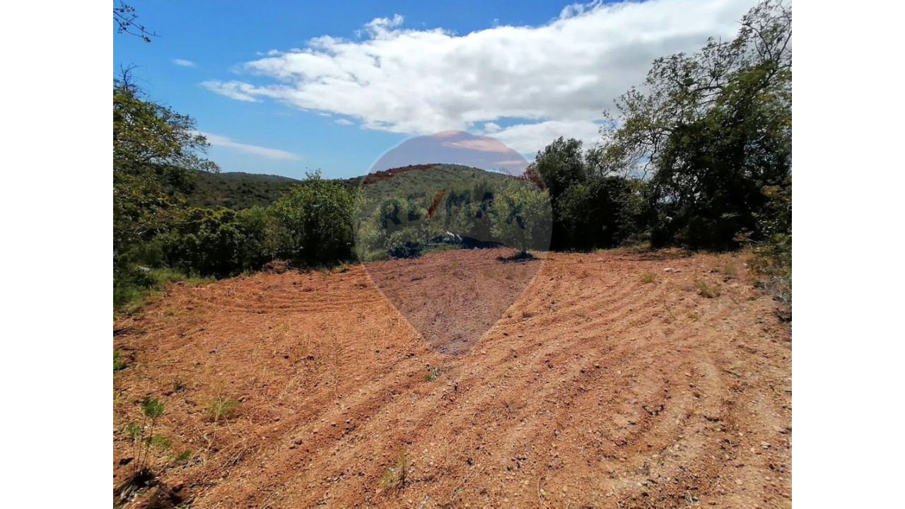 Terreno P/ Prédio para Venda em Paderne Foto 2