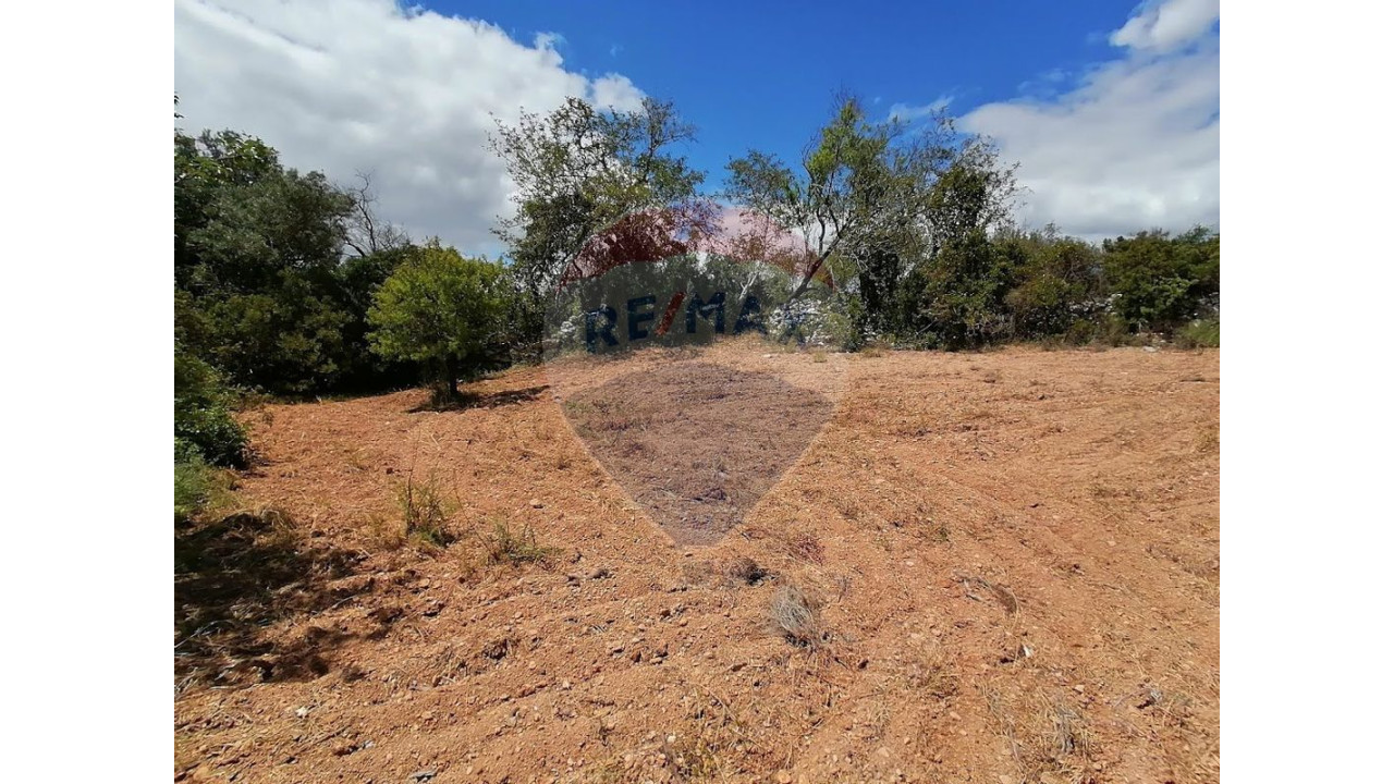 Terreno P/ Prédio para Venda em Paderne Foto 3