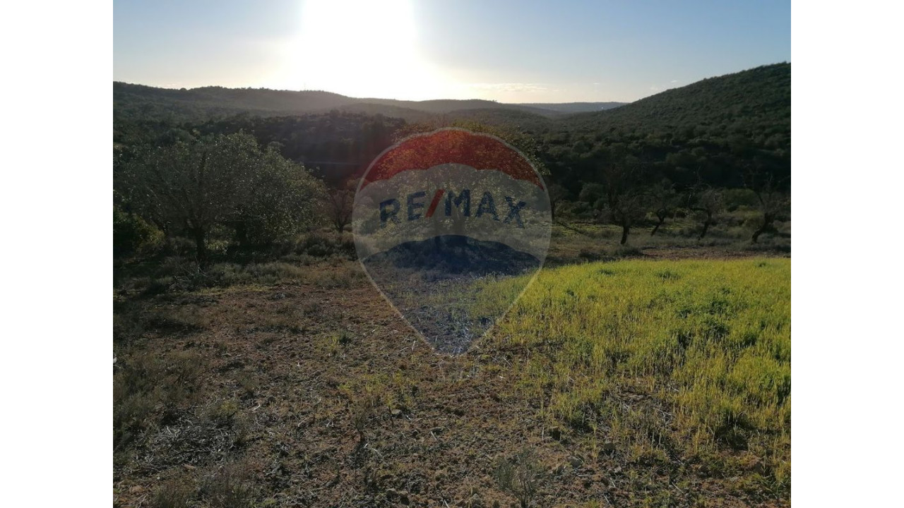 Terreno P/ Prédio para Venda em Boliqueime Foto 3
