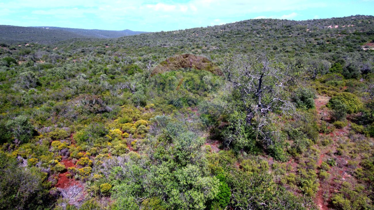 Terreno P/ Prédio para Venda em Boliqueime Foto 5