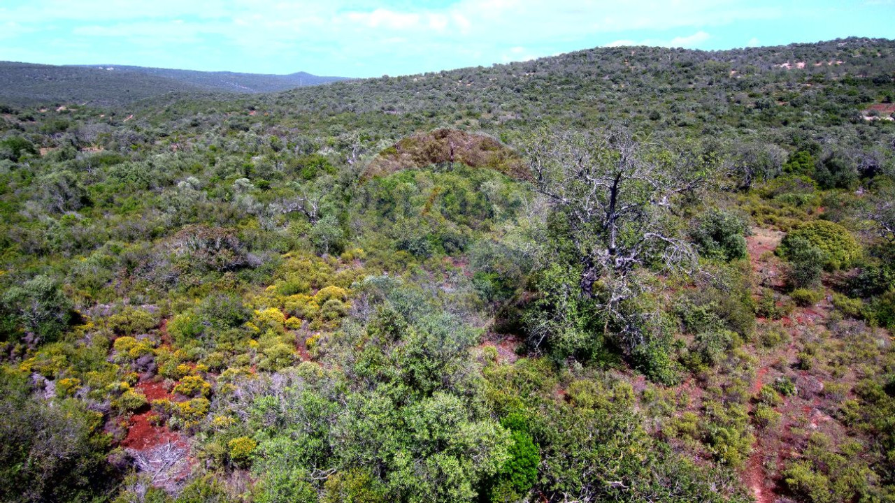 Terreno P/ Prédio para Venda em Boliqueime Foto 6
