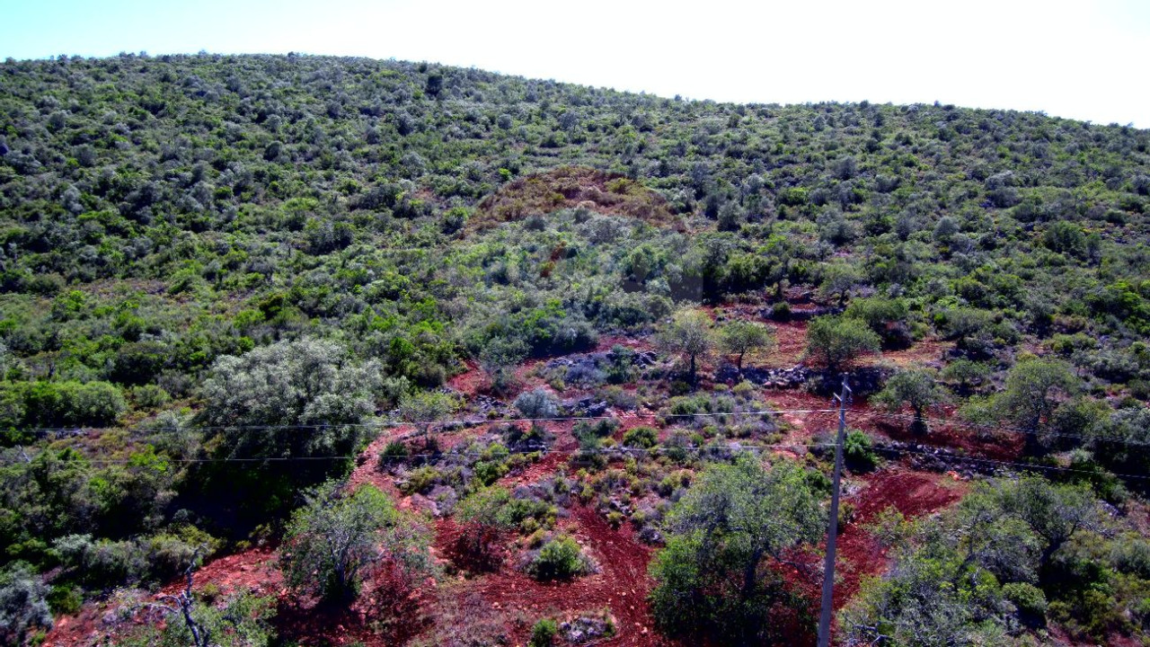 Terreno P/ Prédio para Venda em Boliqueime Foto 2