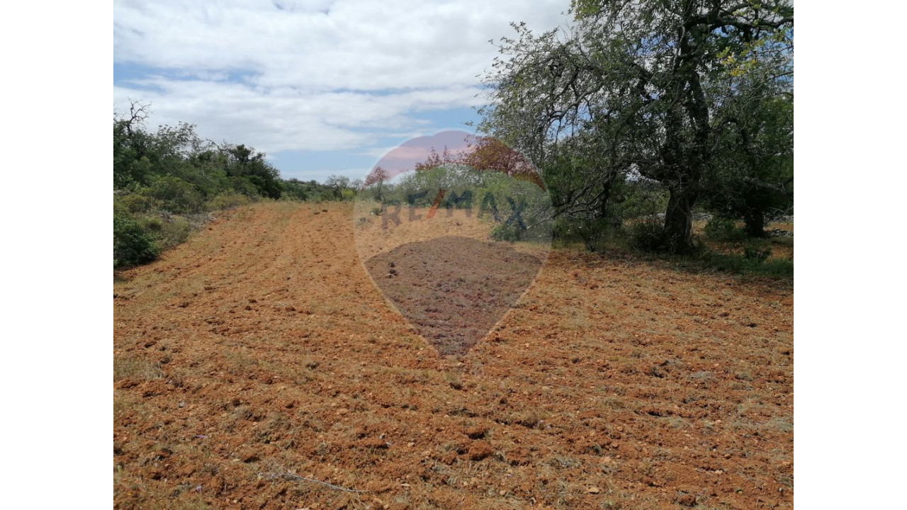 Terreno P/ Prédio para Venda em Boliqueime Foto 2