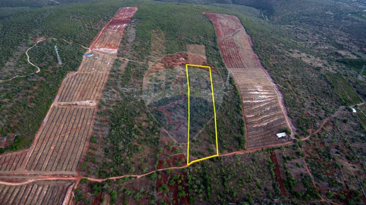 Terreno P/ Prédio para Venda em Alte Foto 5