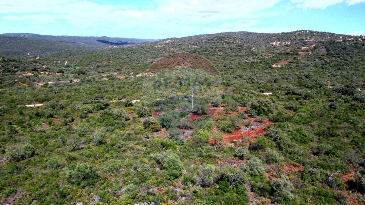 Terreno P/ Prédio para Venda em Alte Foto 4