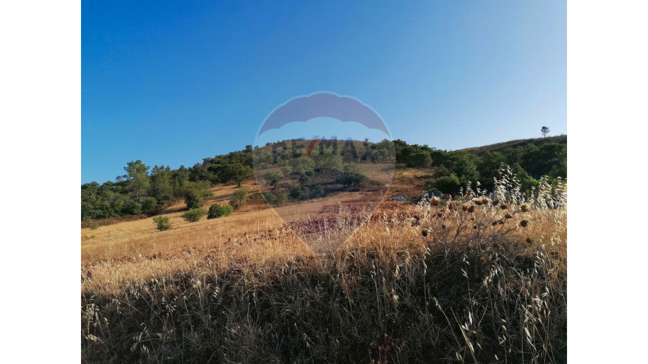 Terreno P/ Prédio para Venda em Salir Foto 1