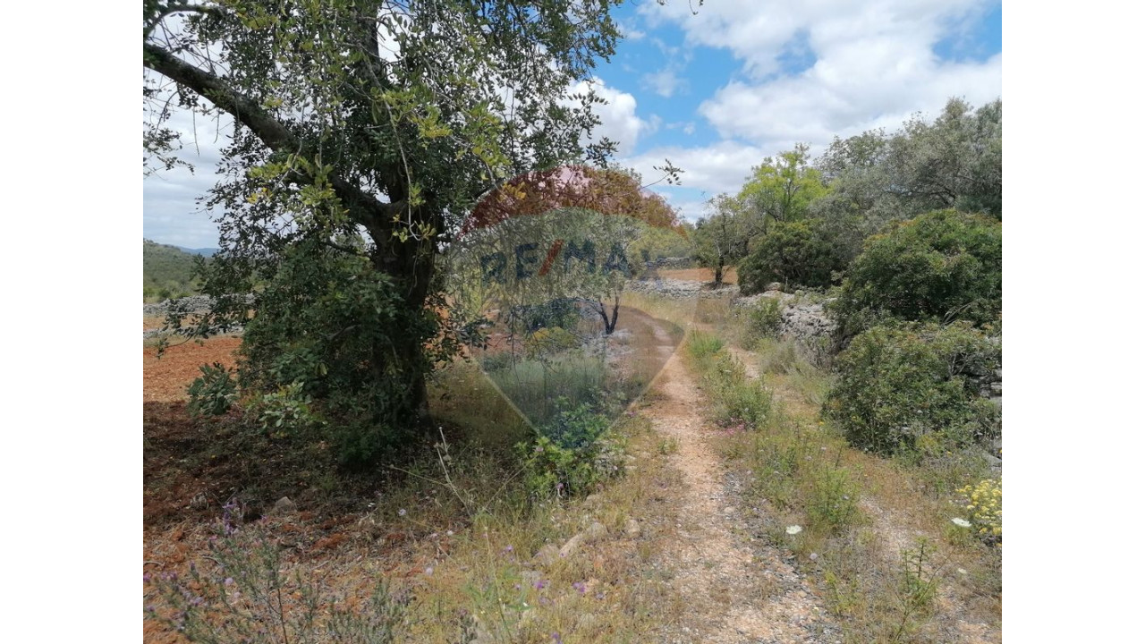 Terreno P/ Prédio para Venda em Boliqueime Foto 3