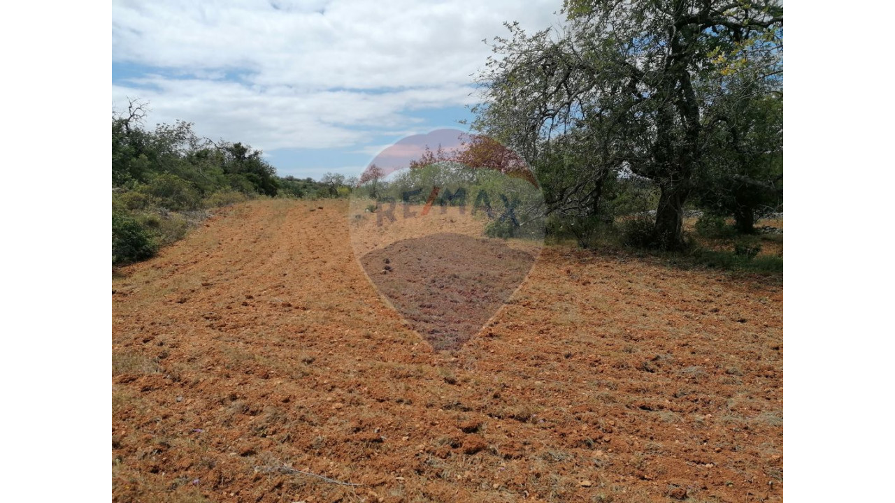 Terreno P/ Prédio para Venda em Boliqueime Foto 2