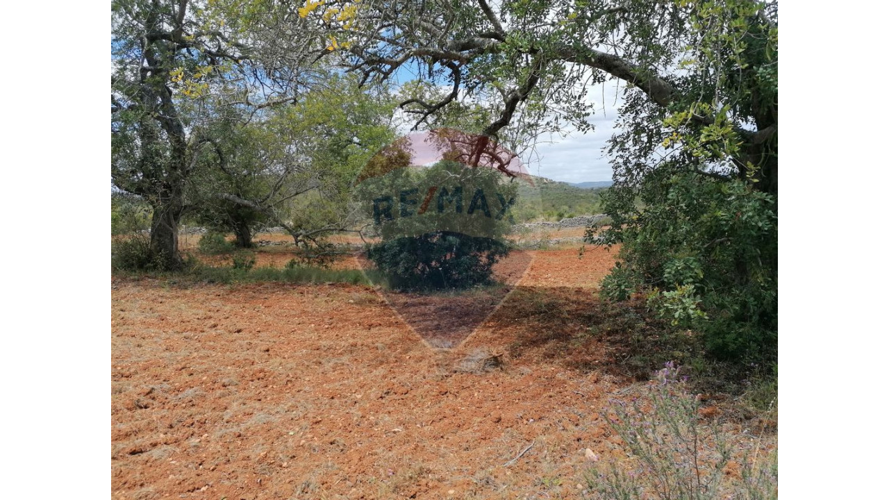 Terreno P/ Prédio para Venda em Boliqueime Foto 1