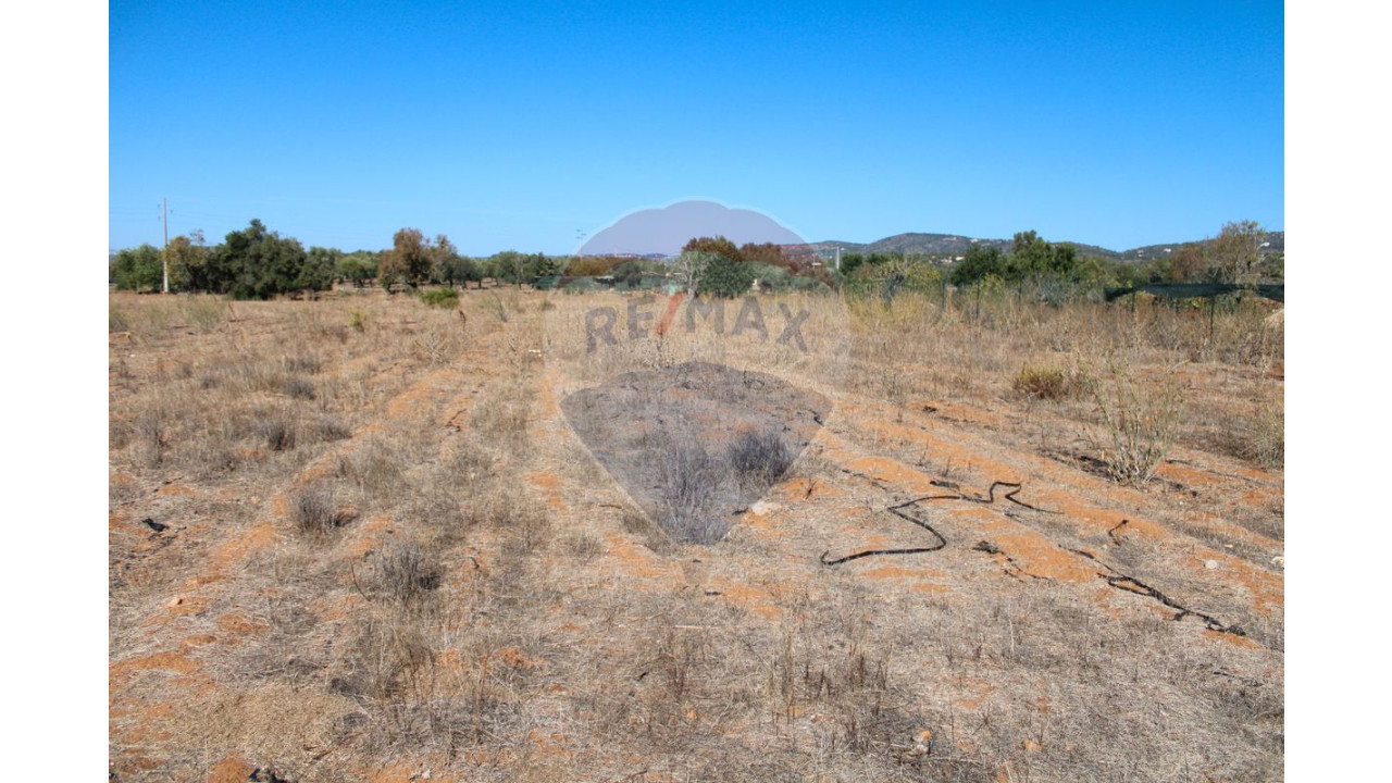 Terreno P/ Prédio para Venda em Conceição e Estoi