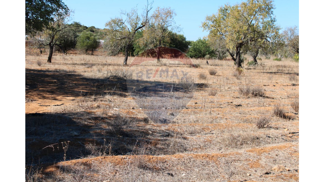 Terreno P/ Prédio para Venda em Conceição e Estoi Foto 5