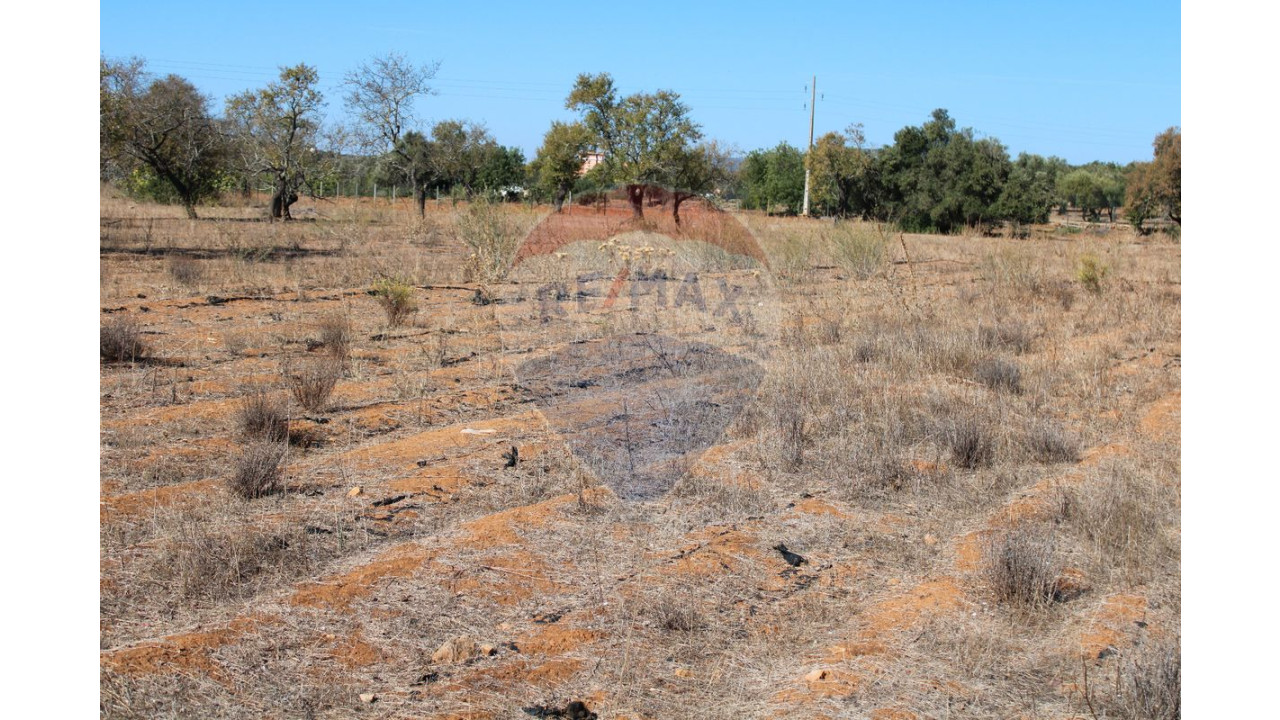 Terreno P/ Prédio para Venda em Conceição e Estoi Foto 3