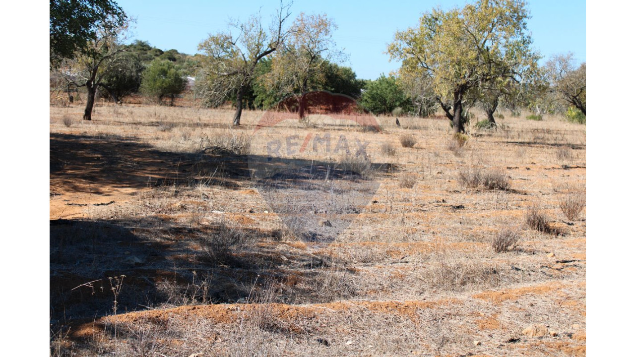 Terreno P/ Prédio para Venda em Conceição e Estoi Foto 6