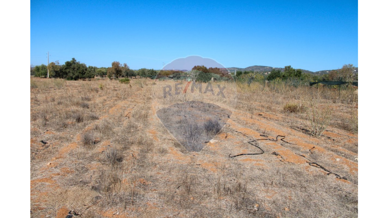 Terreno P/ Prédio para Venda em Conceição e Estoi Foto 2