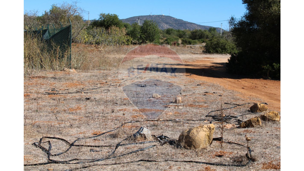 Terreno P/ Prédio para Venda em Conceição e Estoi Foto 4