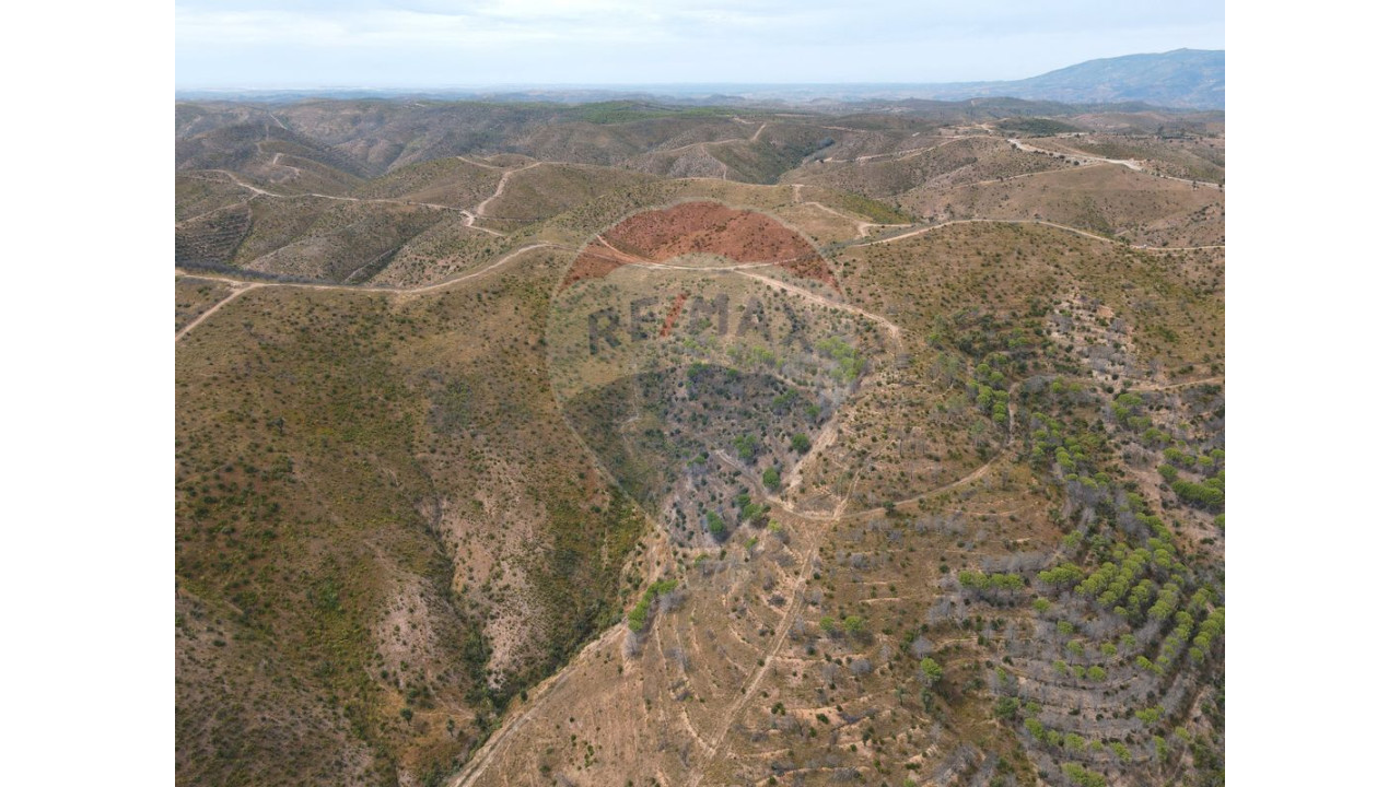 Terreno P/ Prédio para Venda em São Bartolomeu de Messines Foto 3