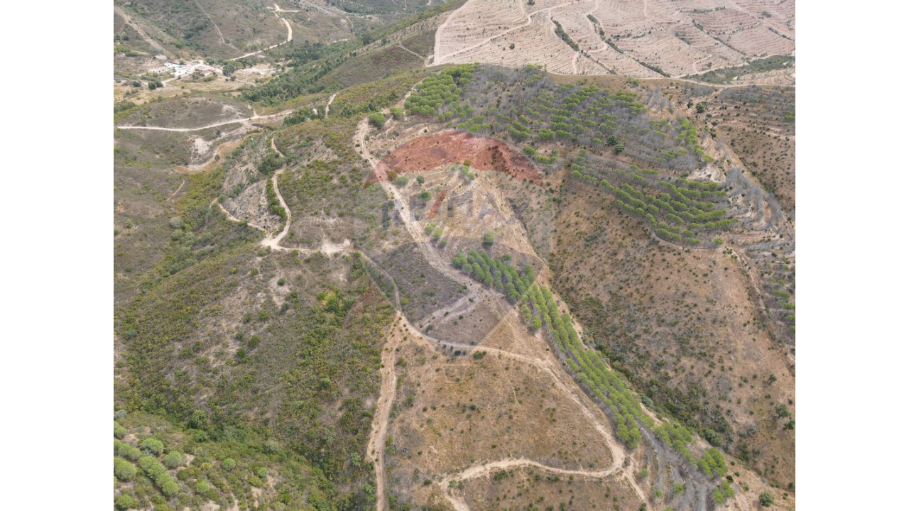 Terreno P/ Prédio para Venda em São Bartolomeu de Messines Foto 5