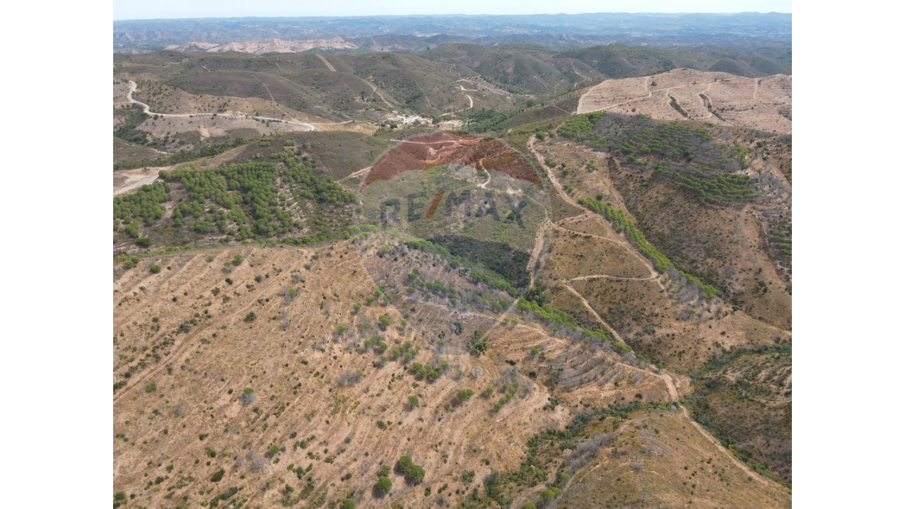 Terreno P/ Prédio para Venda em São Bartolomeu de Messines Foto 2