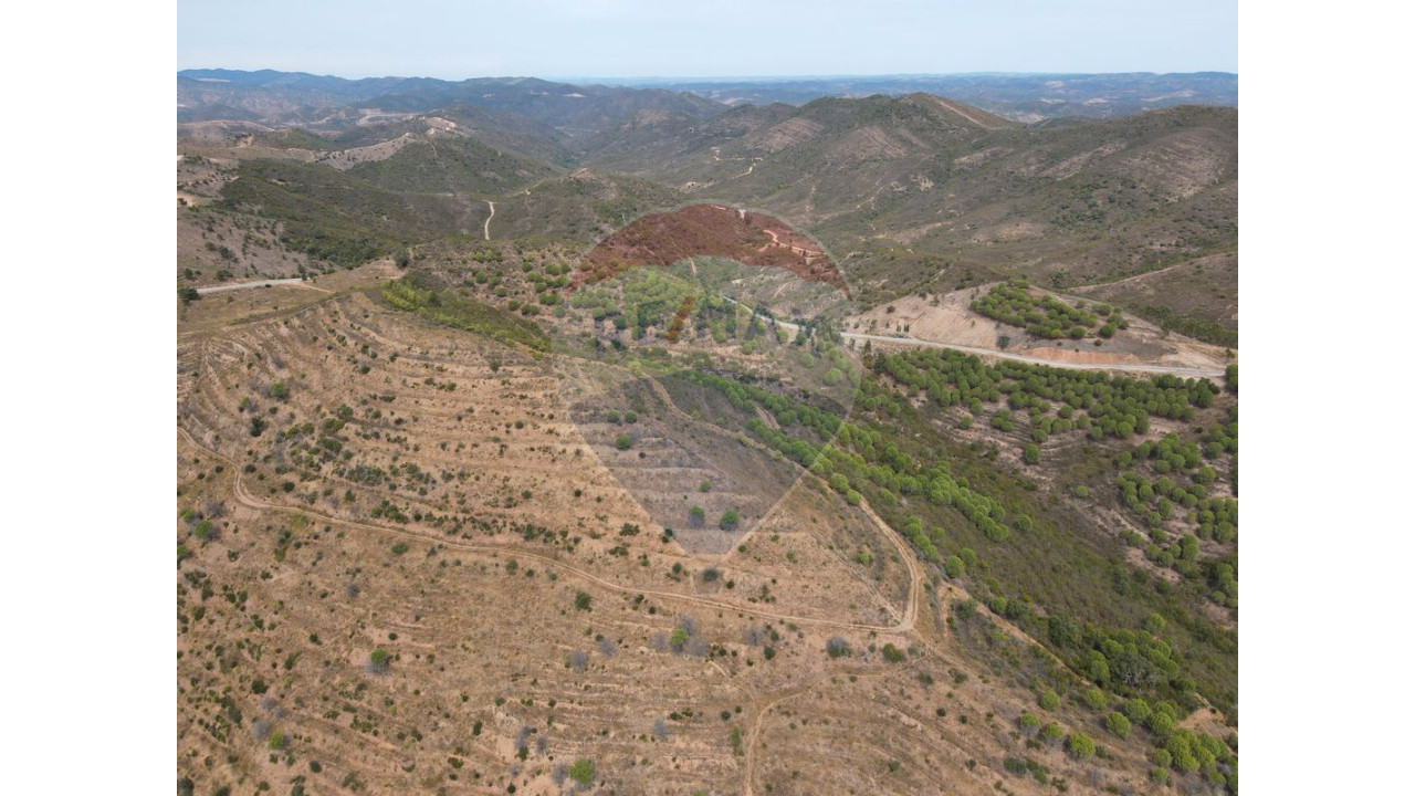 Terreno P/ Prédio para Venda em São Bartolomeu de Messines Foto 4