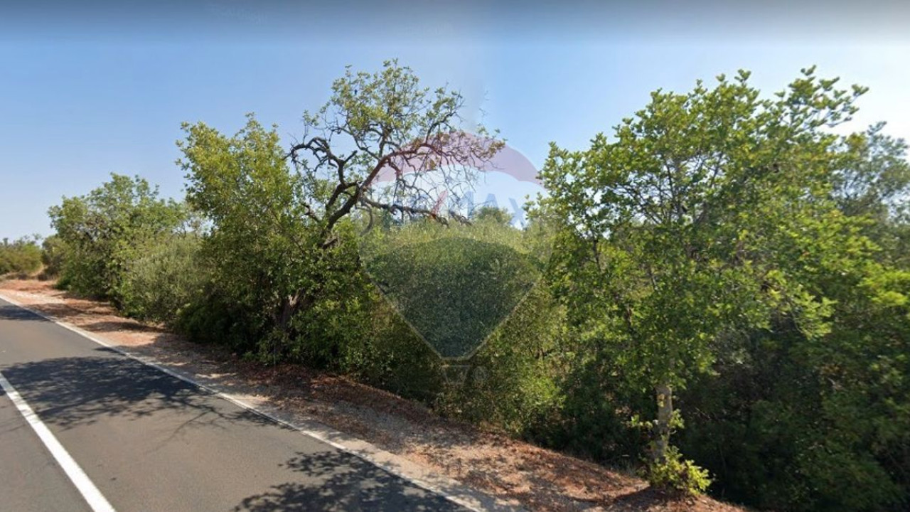 Terreno P/ Prédio para Venda em São Bartolomeu de Messines