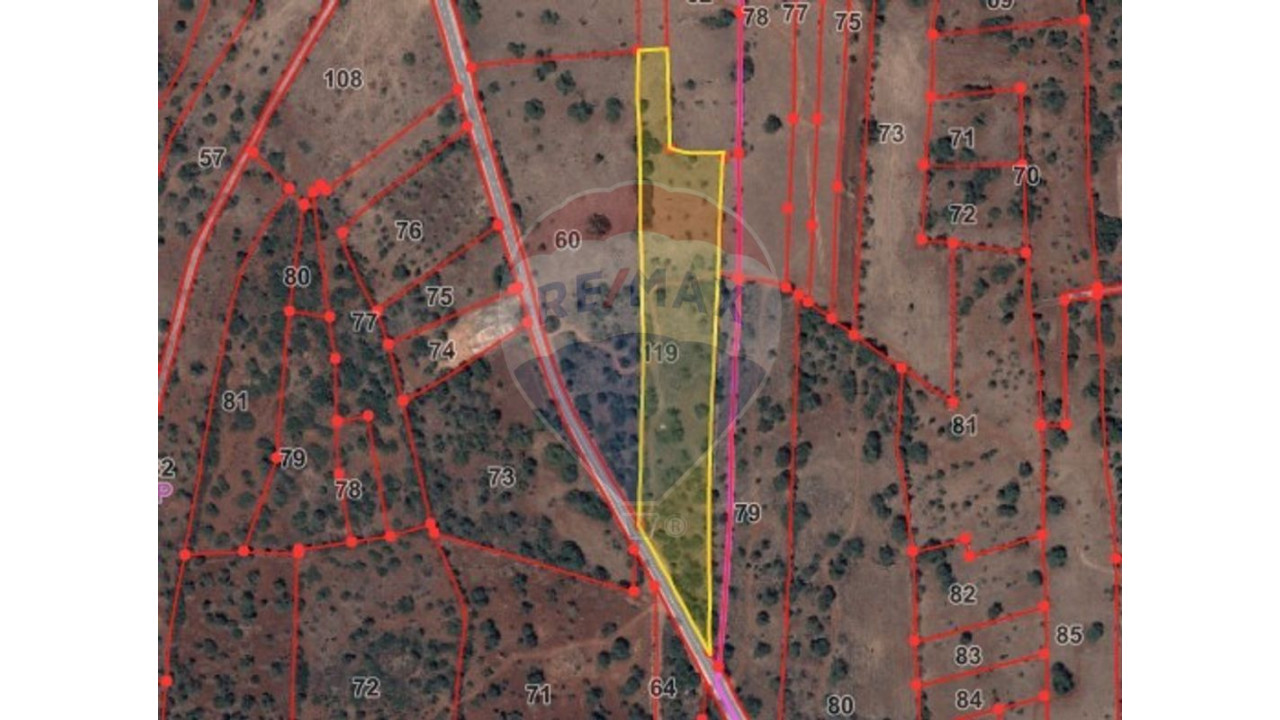 Terreno P/ Prédio para Venda em São Bartolomeu de Messines Foto 4