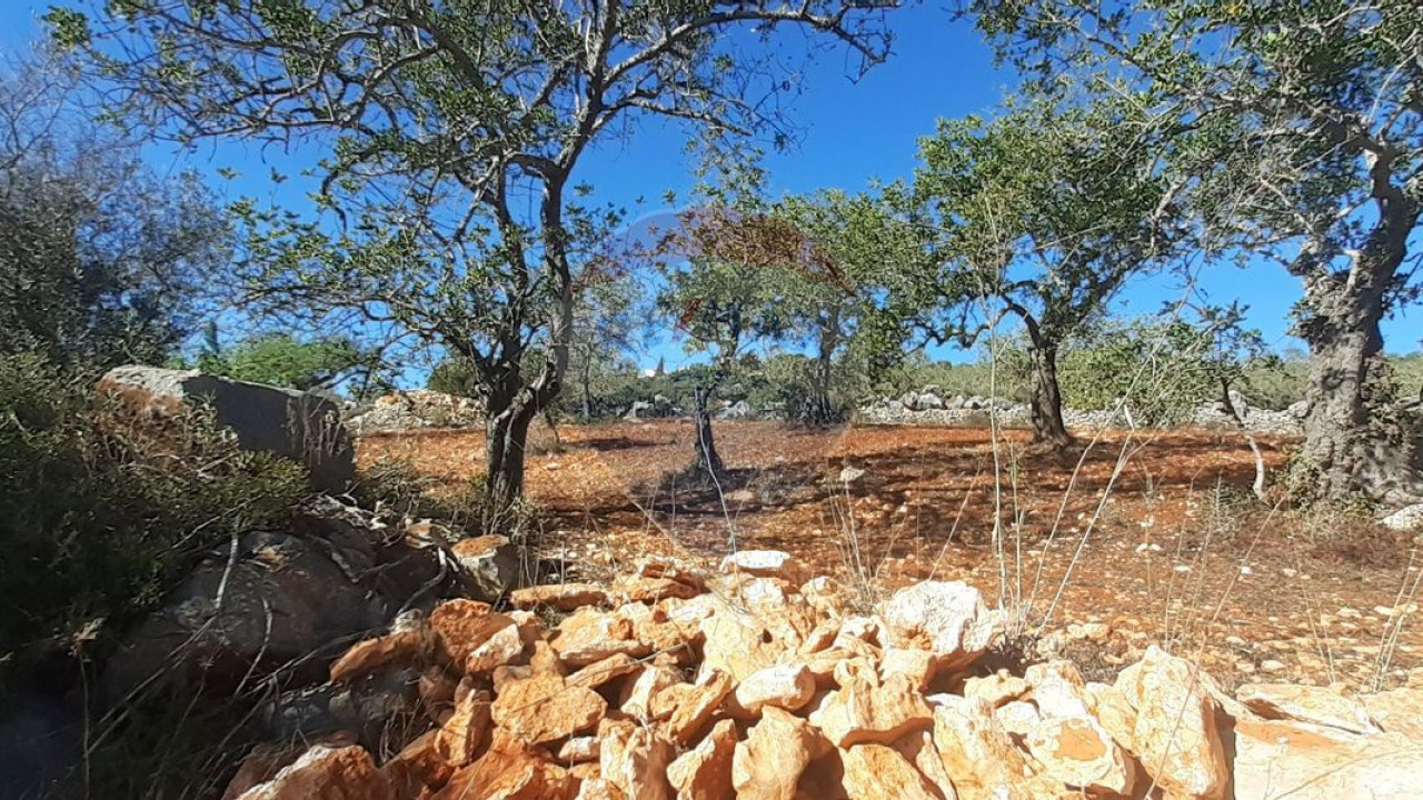 Terreno P/ Prédio para Venda em Paderne Foto 1