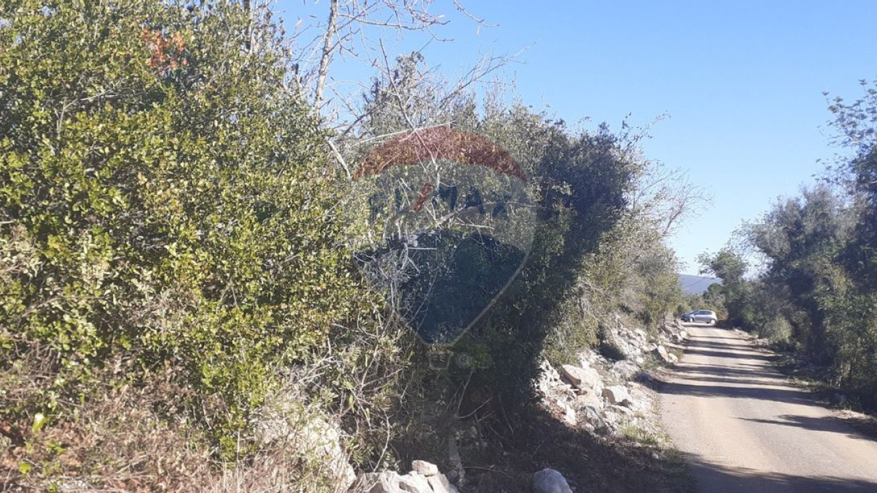 Terreno P/ Prédio para Venda em Paderne Foto 3