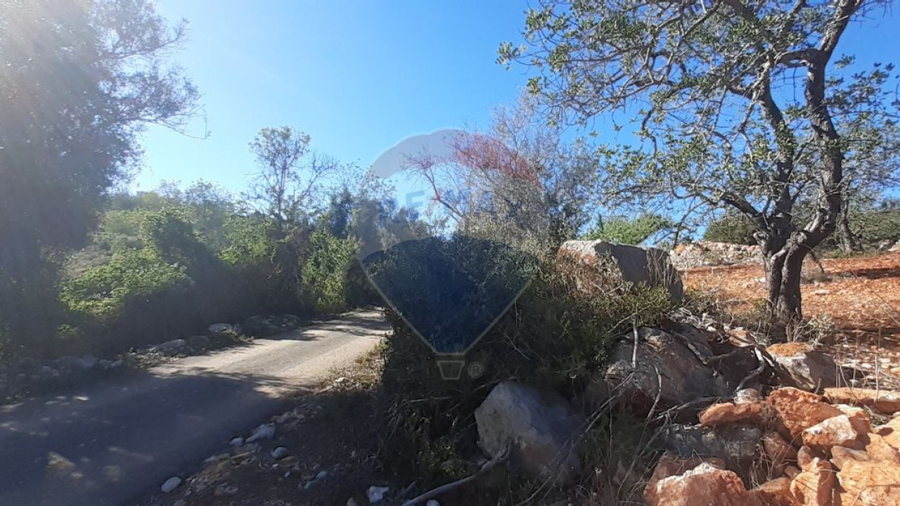 Terreno P/ Prédio para Venda em Paderne Foto 2