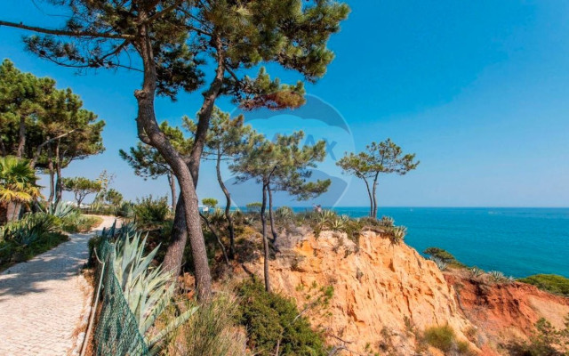 Apartamento T1 para Venda em Albufeira e Olhos de Água