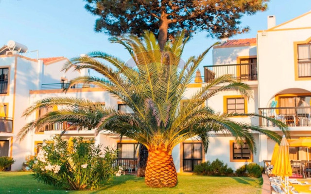 Apartamento T1 para Venda em Albufeira e Olhos de Água