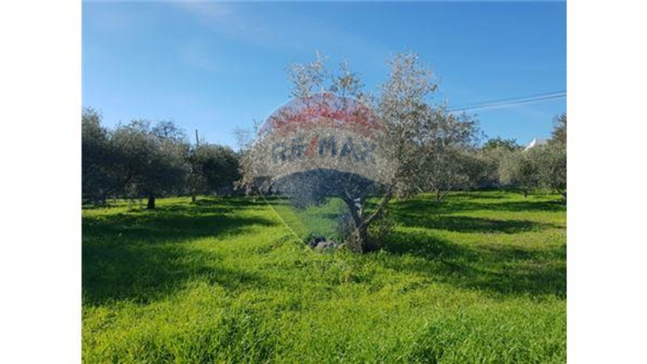 Terreno P/ Prédio para Venda em São Brás de Alportel Foto 2