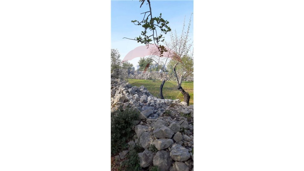 Terreno P/ Prédio para Venda em Querença, Tôr e Benafim Foto 8