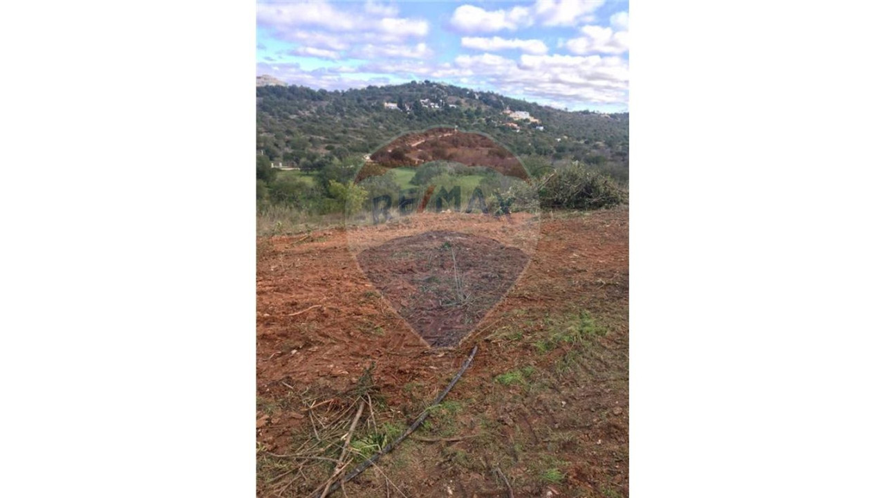 Terreno P/ Prédio para Venda em Querença, Tôr e Benafim Foto 19