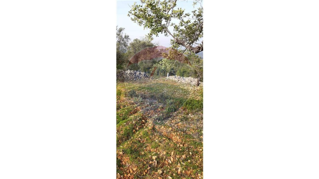 Terreno P/ Prédio para Venda em Querença, Tôr e Benafim Foto 11