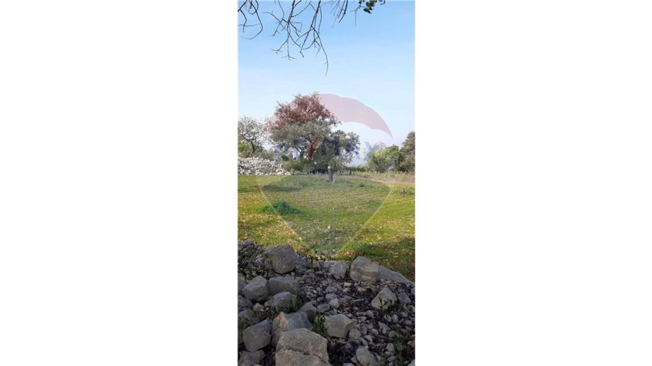 Terreno P/ Prédio para Venda em Querença, Tôr e Benafim Foto 15