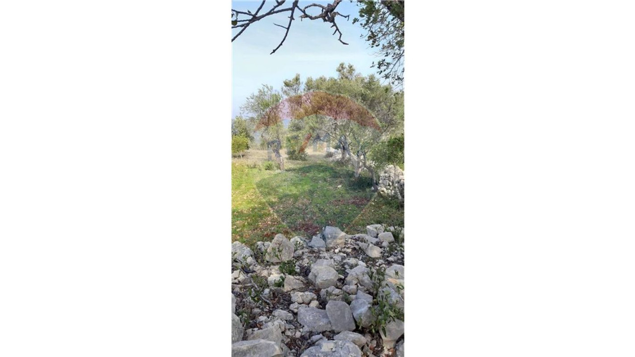 Terreno P/ Prédio para Venda em Querença, Tôr e Benafim Foto 13