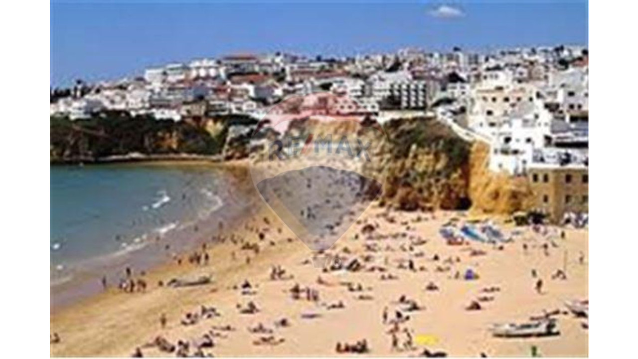 Apartamento T1 para Arrendamento em Guia Foto 6