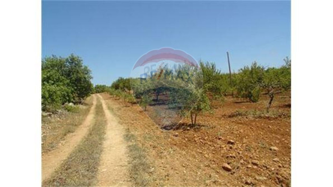 Terreno P/ Prédio para Venda em Guia Foto 8