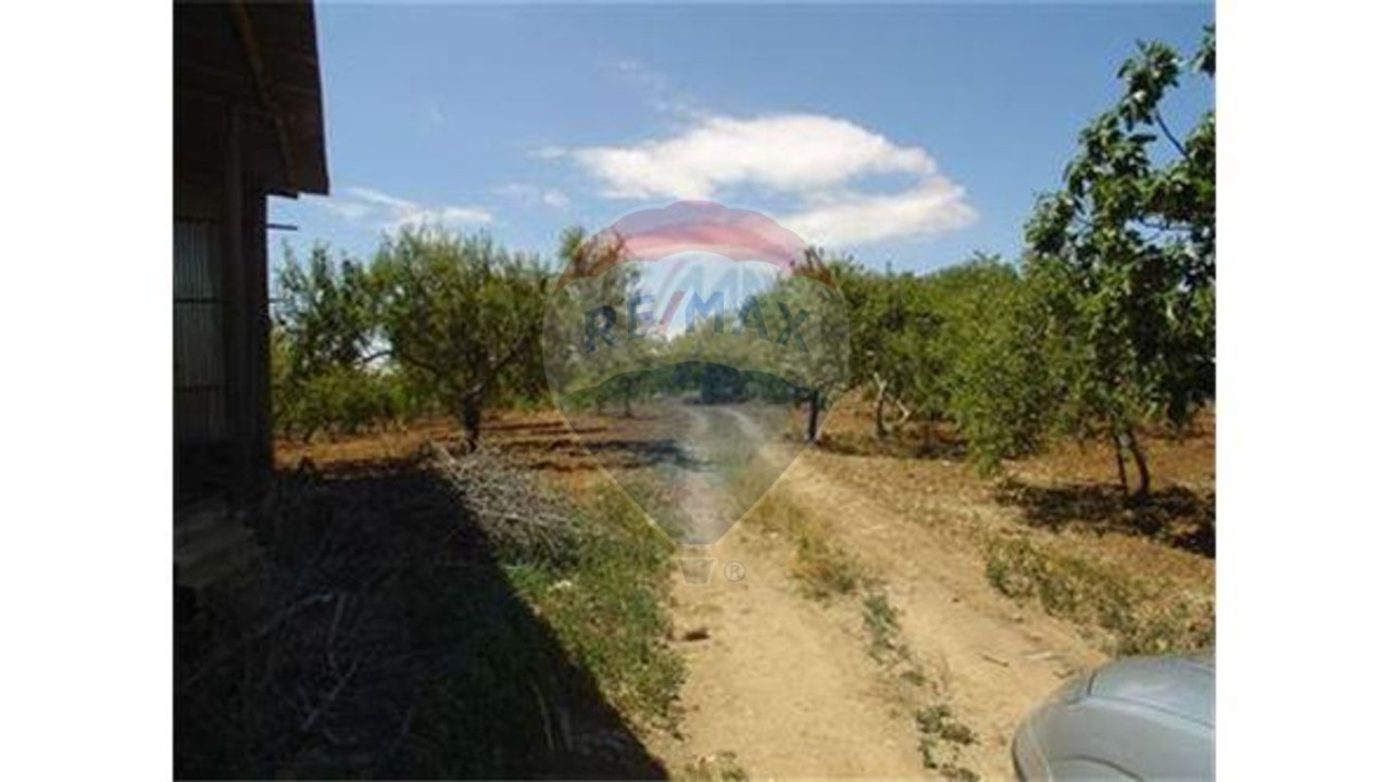 Terreno P/ Prédio para Venda em Guia Foto 6