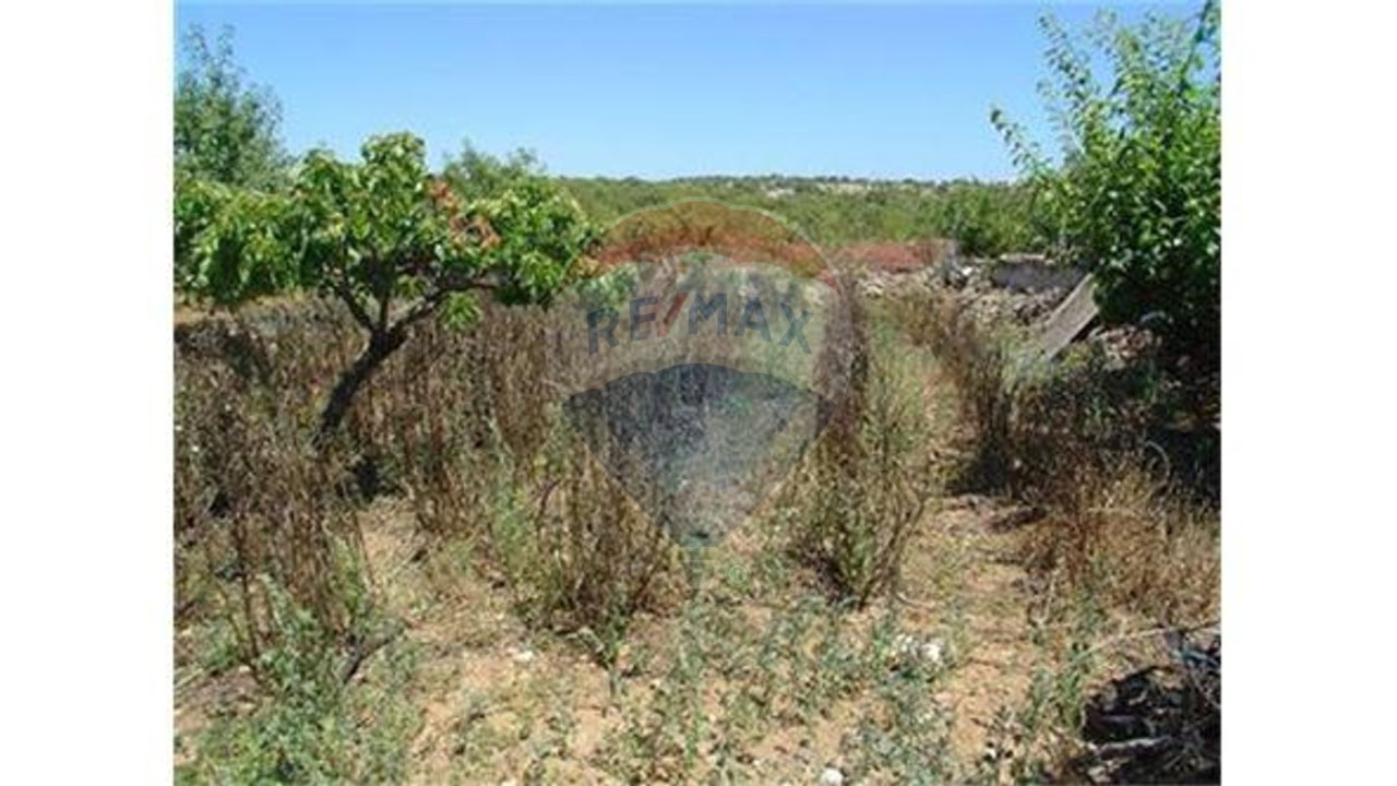 Terreno P/ Prédio para Venda em Guia Foto 4