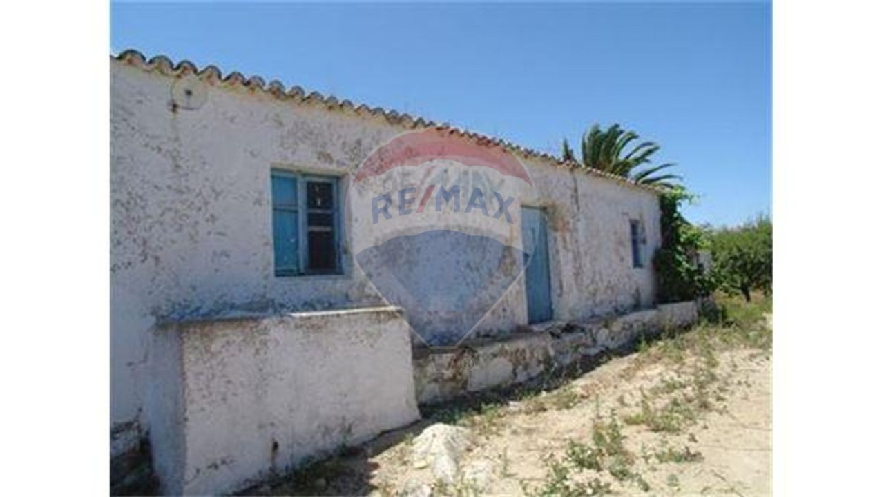 Terreno P/ Prédio para Venda em Guia Foto 3