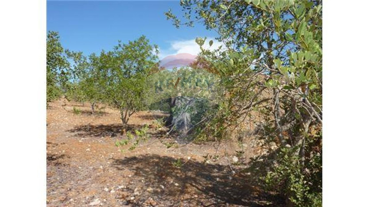 Terreno P/ Prédio para Venda em Albufeira e Olhos de Água Foto 4