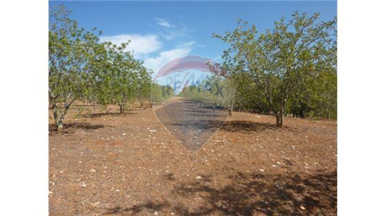 Terreno P/ Prédio para Venda em Albufeira e Olhos de Água Foto 11