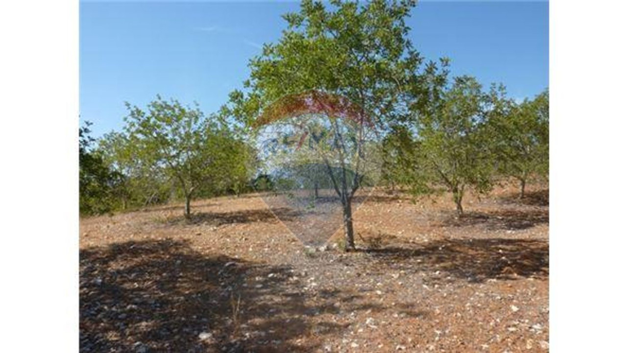 Terreno P/ Prédio para Venda em Albufeira e Olhos de Água Foto 5