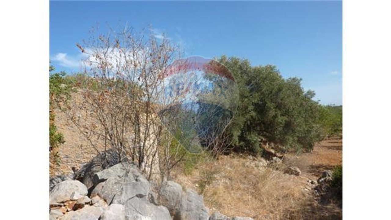 Terreno P/ Prédio para Venda em Albufeira e Olhos de Água Foto 8