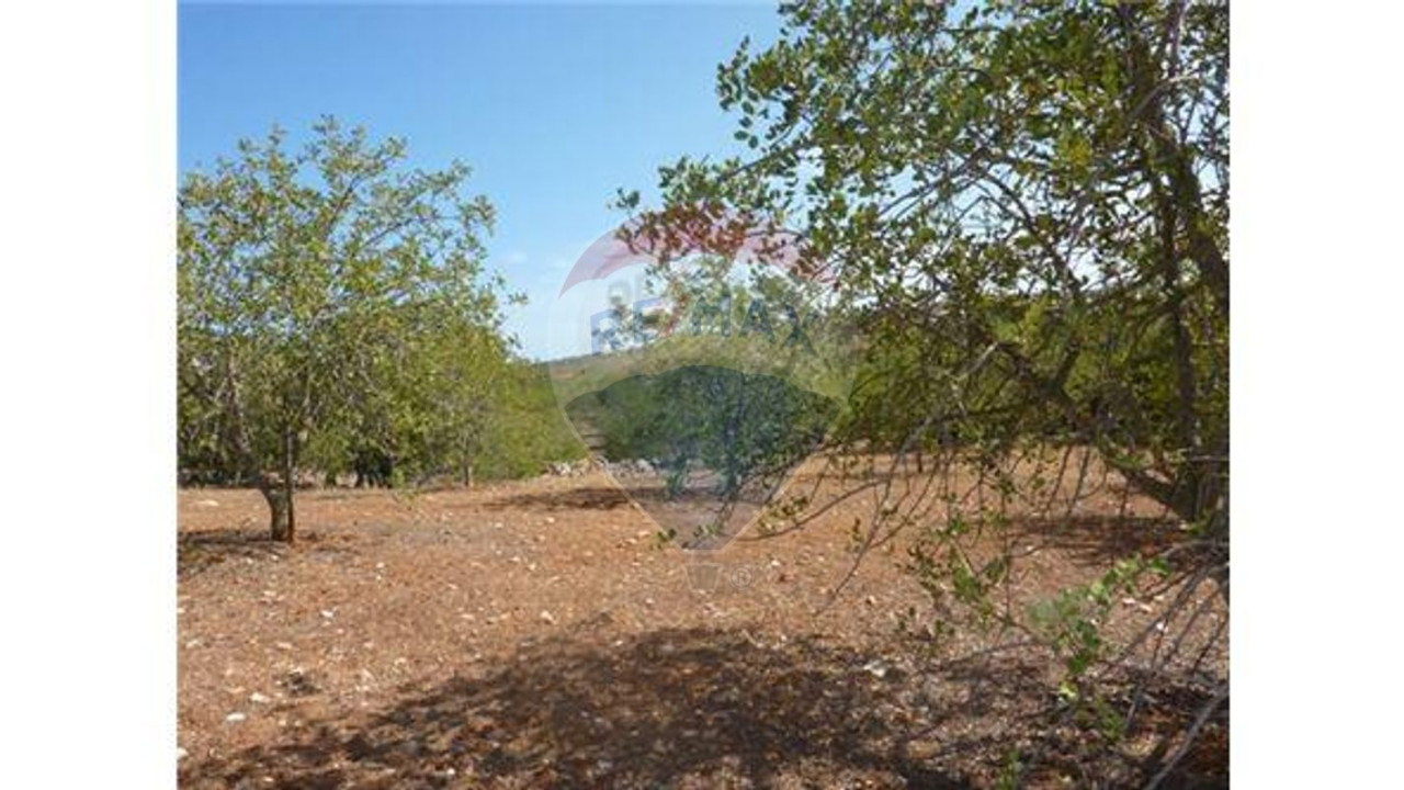 Terreno P/ Prédio para Venda em Albufeira e Olhos de Água Foto 10
