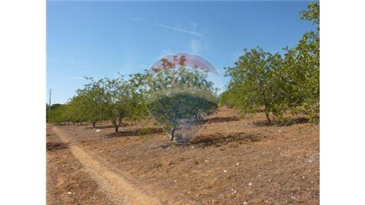 Terreno P/ Prédio para Venda em Albufeira e Olhos de Água Foto 1